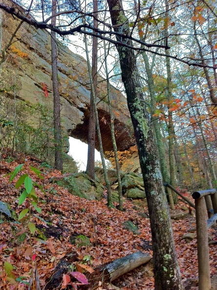 Natural Bridge State Park